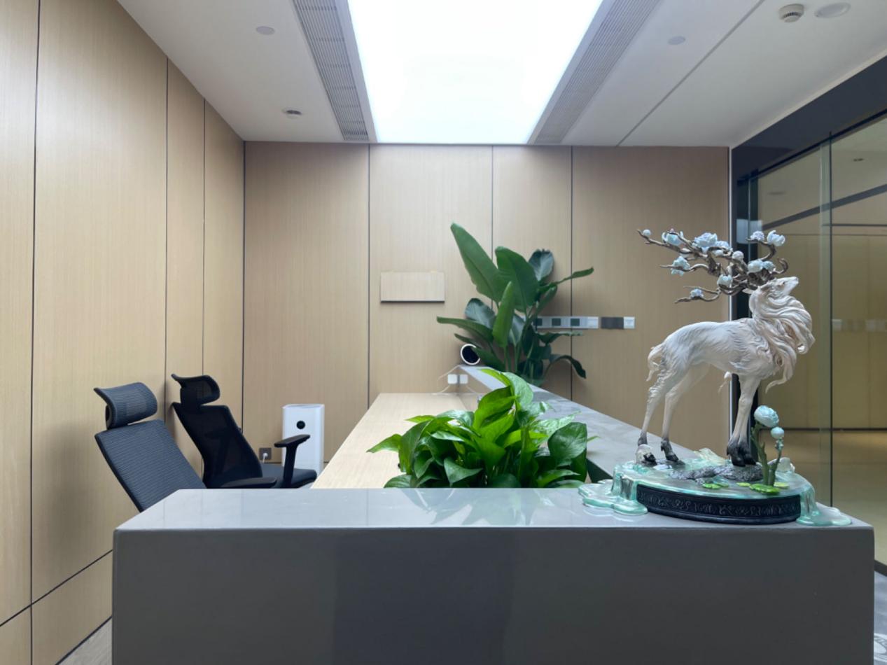 成都市东方兴城科技发展有限公司